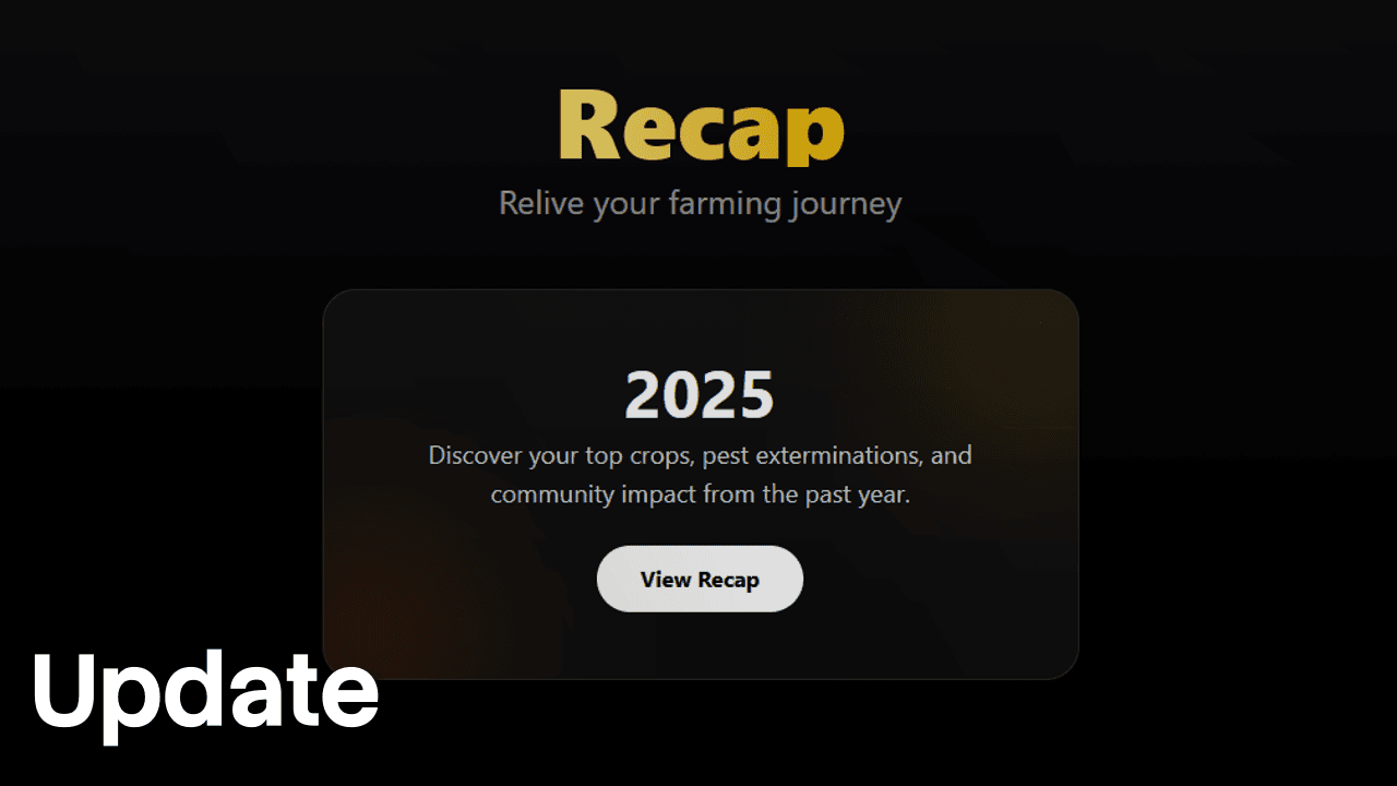 New Yearly Recaps