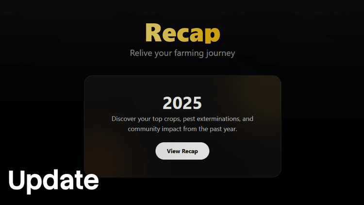 New Yearly Recaps